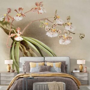 2054 – Alstroemeria