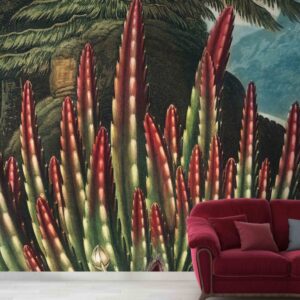 2066 – Yucca
