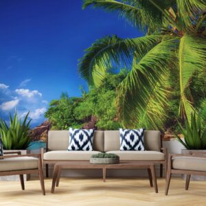 5007 – Beach