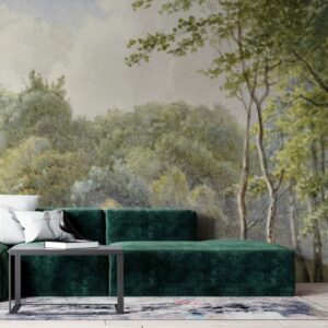 5032 – Old forest